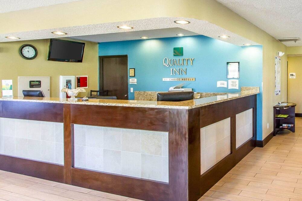 クオリティ イン ムレイ ユニバーシティ エリア 写真