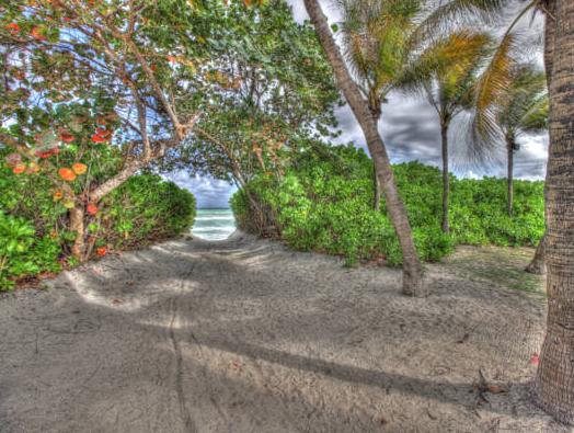 デザイン スイーツ マイアミ ビーチ 写真