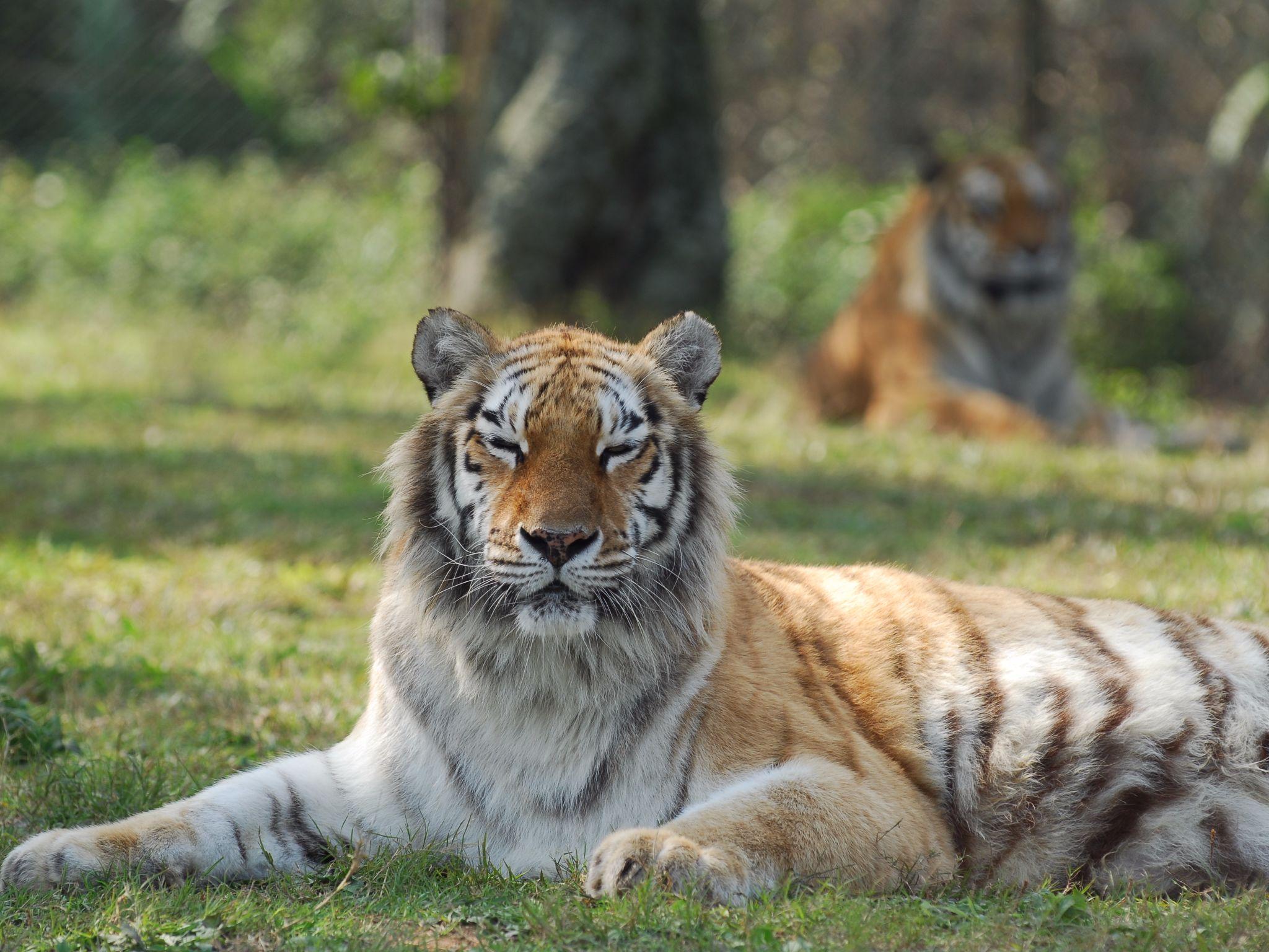 レオフー リゾート クァンシ 写真