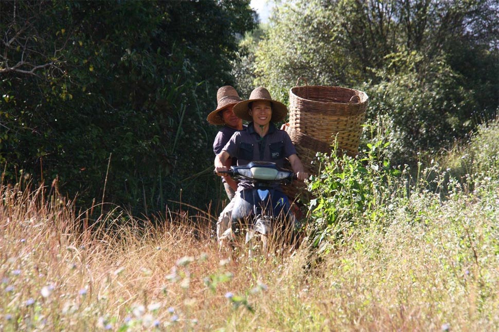 画像: namotasaさんの最優秀賞作品