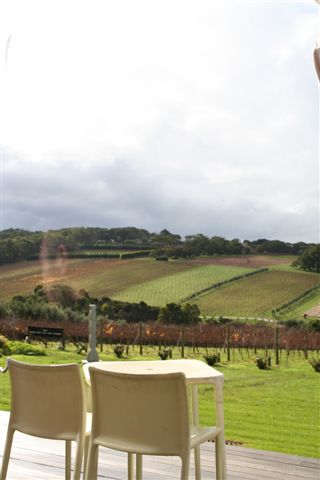 Ｍｏｒｎｉｎｇｔｏｎ　Ｐｅｎｉｎｓｕｌａ（モーニントン・ペニンシュラ）