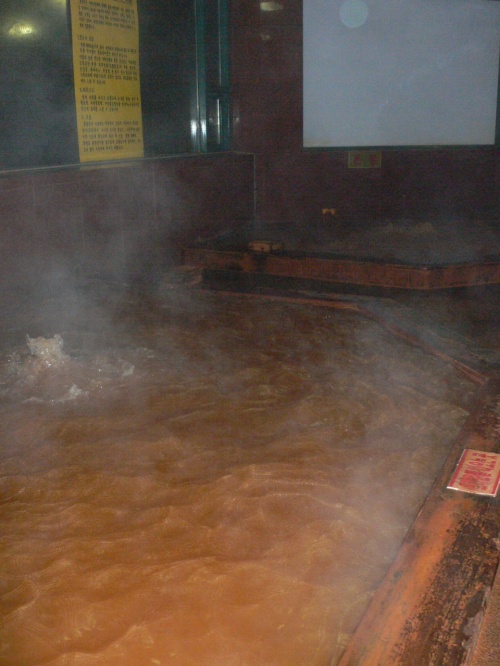 2008.1  湯遊ソウルと金浦でにゅーよーく　温泉＆健康ランドめぐり