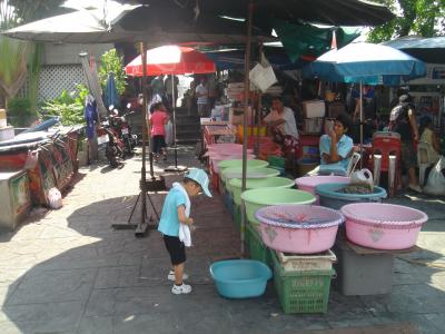 まだ早かった！子連れ旅行