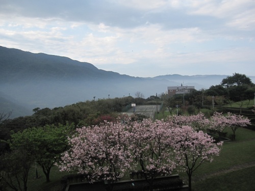 湯けむり台北　常夏の島じゃなかったの？