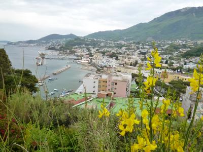 初夏のイスキア島で優雅なバカンス♪　Ｖｏｌ２４（第４日目午後）　☆イスキア島ラッコ・アメーノ(Lacco Ameno)：可愛い漁村ラッコ・アメーノ散策と不思議なキノコ岩「IL FUNGO」を鑑賞♪そしてラッコ・アメーノを見下ろす絶景を楽しむ♪