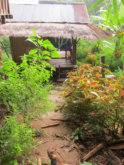 パパイヤヴィレッジの薬草サウナ。