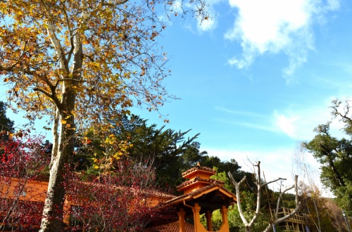 お正月休みの定番！？温泉旅行 IN カリフォルニア − シカモア温泉とワインの旅