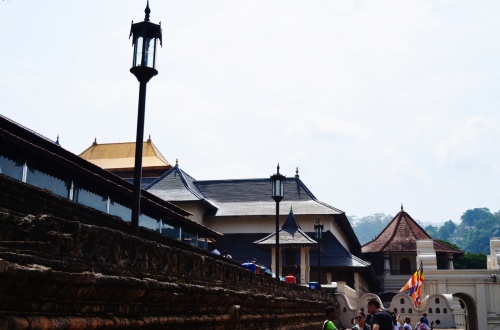 家族でスリランカ旅行-⑥キャンディへ日帰り旅行にはエクスポレイルが便利