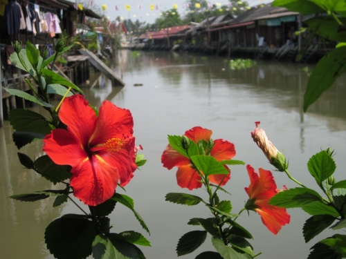 2013　タイ・バンコク　郊外の町へアムパワーとメークローンへぶらぶら歩き旅