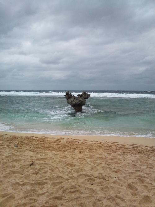 ２回目の沖縄一人旅～ハートロックとクジラ～