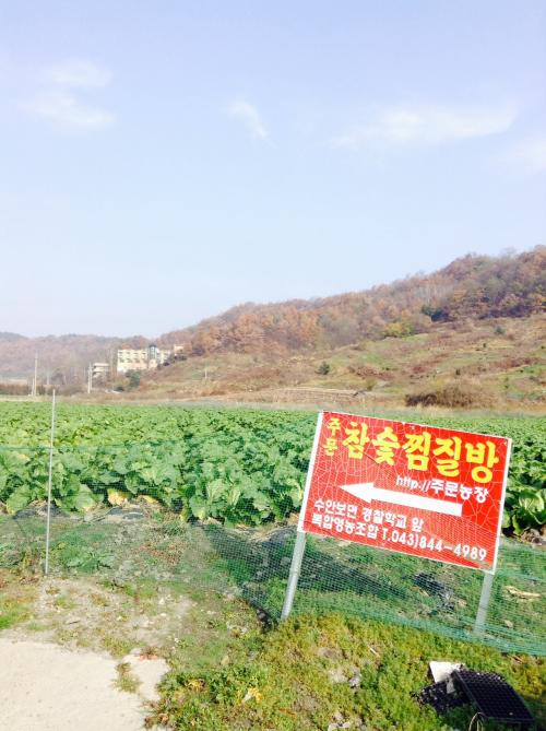 2014年11月 今回もライブで行きます！温泉と炭窯サウナの旅in韓国 2日目