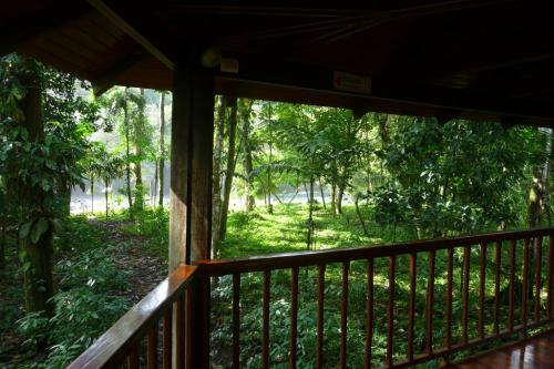 コスタリカ、サラピキで宿泊したSelva Verde Lodgeは広大な敷地のジャングルに建つワイルドホテル！