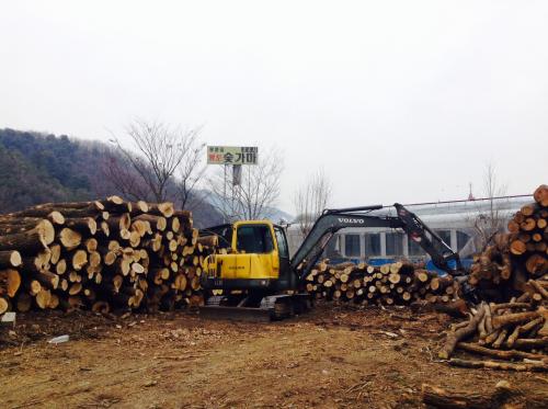 2015年 1月 今年も旅初めはソウルから♪ 2日目 クァンルン ファント スッカマ編