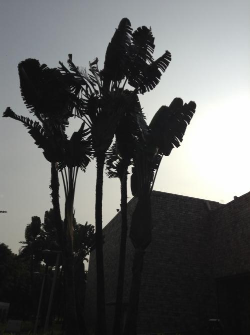 2014～2015 台湾・台北-台中-関子嶺温泉 その４