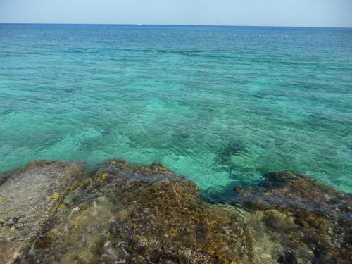2年ぶりのコスメル島ダイビング。天気はイマイチでもカリビアン・ブルーは健在!