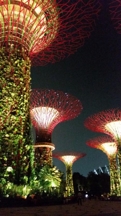 リベンジシンガポール