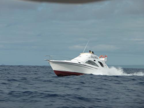 速い！煩い！激揺れ！70km程離れたガラパゴス・イサベラ島にスピードボートでアイランドホッピング！
