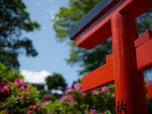 根津神社の“つつじ”と、上野東照宮の“ぼたん”