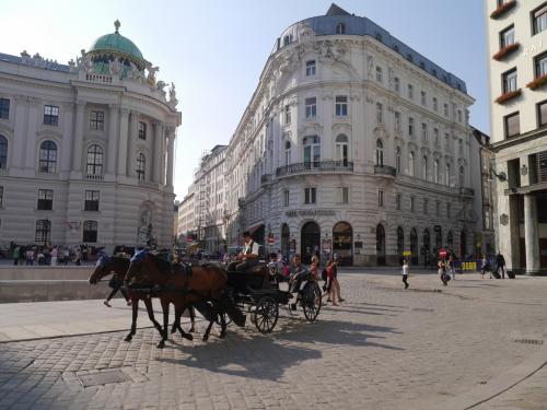 中欧３ヶ国の旅４日目（1日でウィーンを回れるだけ回る！）