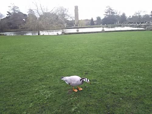 2017年また冬のロンドンへ。