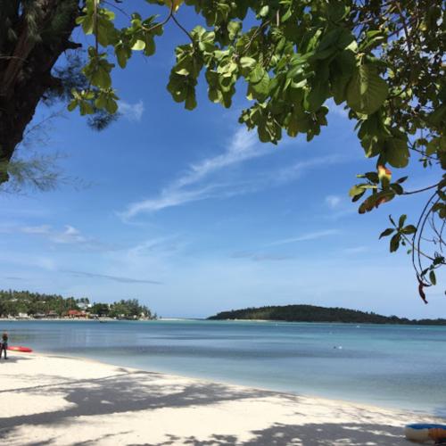 急遽決定、バタバタサムイ旅（途中）