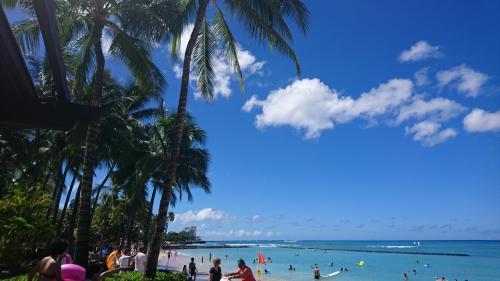 子連れハワイ旅行（3歳8ヶ月）その1