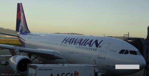 家族みんなで濃厚ハワイ～ビジネスクラスの旅～