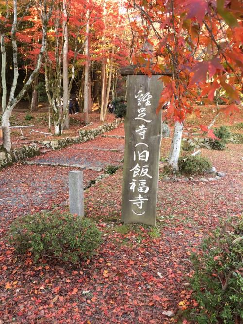 恒例秋の京都　2日目は京都から滋賀へメタセコイア並木と鶏足寺へ