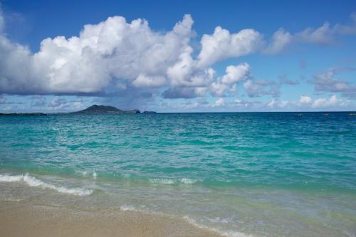 子連れで行くハワイ