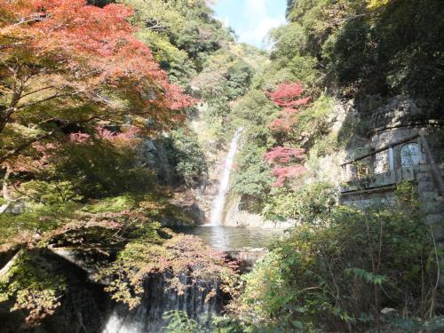 会社の関西地区OB会　紅葉の六甲山系を歩く