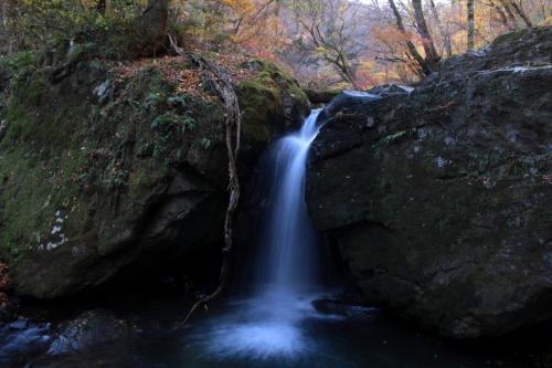 ◆禁断の戸草川渓谷・みちのく最後の紅葉/ 魚止め滝＆安行滝編 