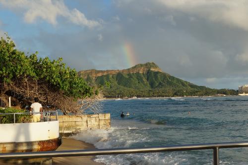 ハワイな日々2015