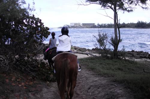 シーサイド乗馬体験