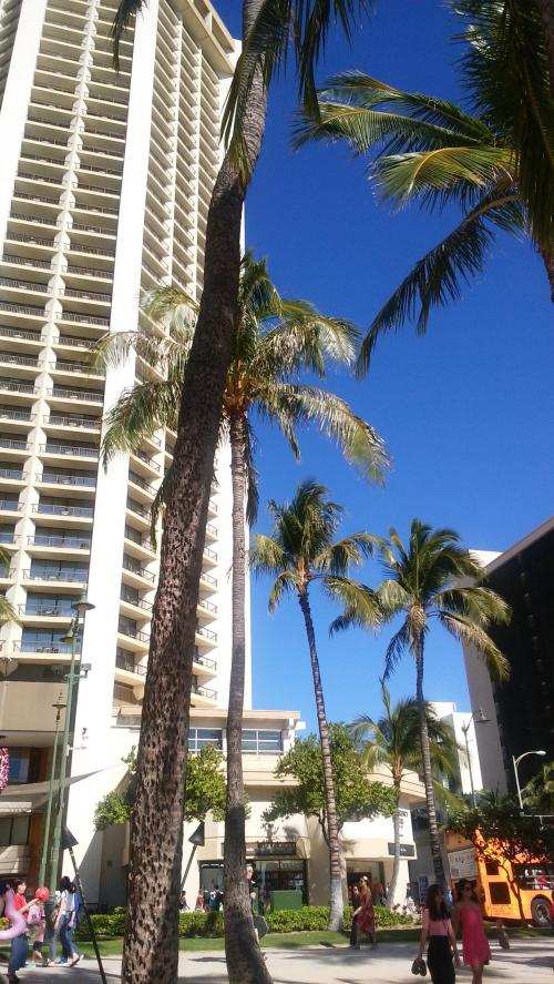 年中さんとハワイ(ポピンズ＆ゲーセン)