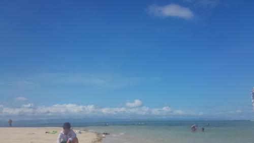 冬休み双子とセブ②