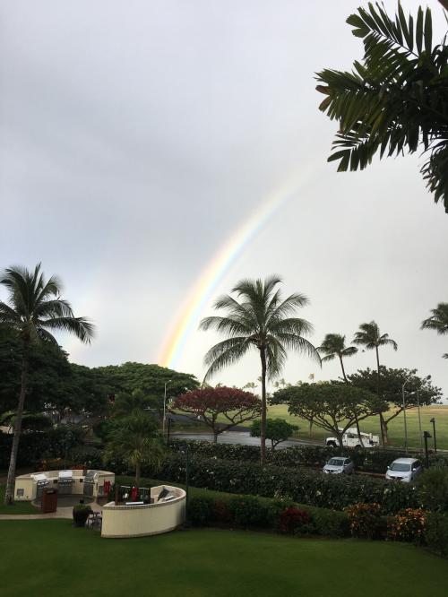 小1と7ヶ月児と行くのんびりハワイ 5日目