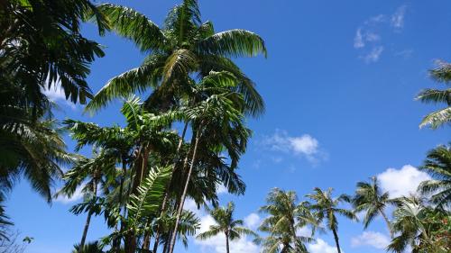 2018 February in GUAM 3日目～5日目