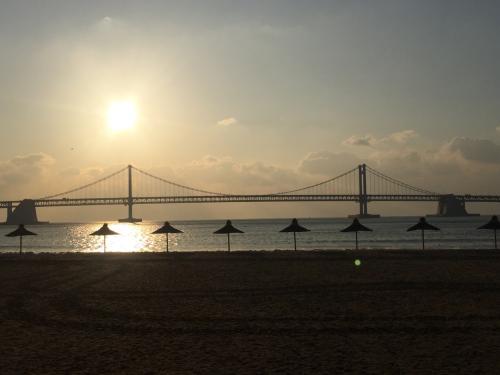 30回目の韓国旅行＼(^o^)／