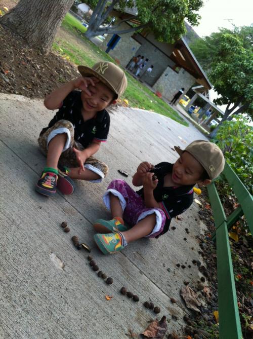 子連れハワイ2012  ダイヤモンドヘッド&amp;ＫＣＣ