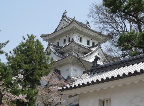 岐阜大垣・本巣のさくら・・四重天守がそびえる大垣城を訪ねます。