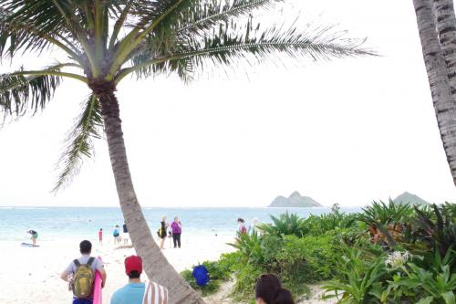 アロハビーチストーリー