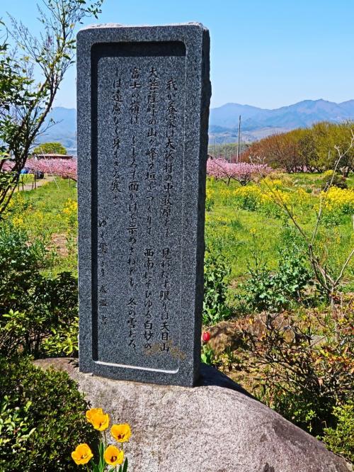 山梨-2　塩山桃源郷・桃の花咲いて　☆慈雲寺からの帰り道で