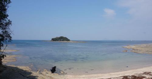 青く透き通る海、ここは北九州市小倉北区！～猫だけじゃない藍島・馬島の旅～
