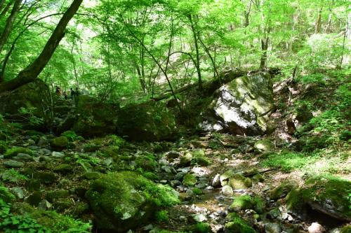 御岳山　ロックガーデン