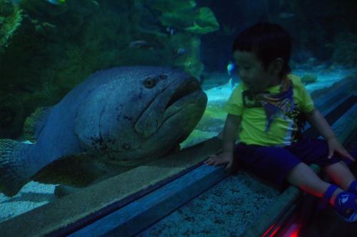 １歳７ヶ月◎子連れグアム（3日目）