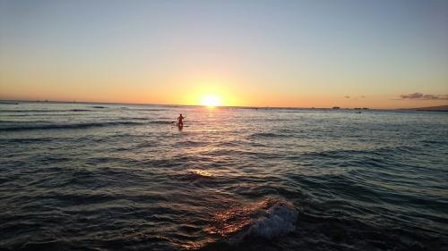 3歳7ヶ月と行くのんびりハワイ③～ワイキキ編～