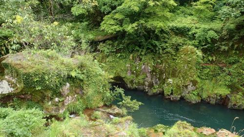 ジェットでびゅ～ん！！＆レンタカー／霧島へろへろウォーキング（笑）と温泉満喫４泊５日・前編