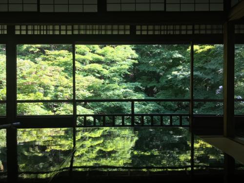 京の週末 ～瑠璃光院の青もみじ、霊源院甘露庭「蛍放生会」、植物園「はなしょうぶ園」～