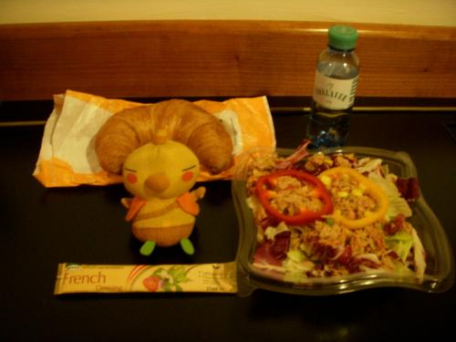 2014GWプラハ＆ウィーン　ちょこっとチェスキークルムロフ