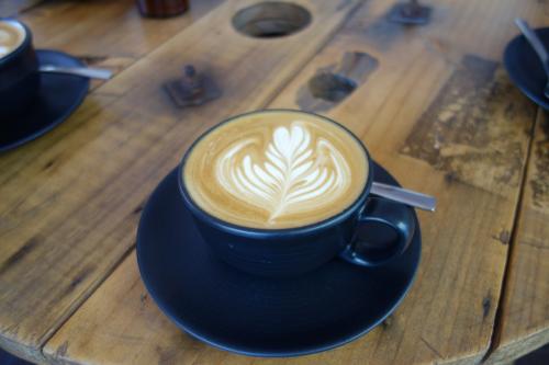 旧友に会うケアンズ最終日：カフェ、空港ラウンジ、ジェットスターで成田へ